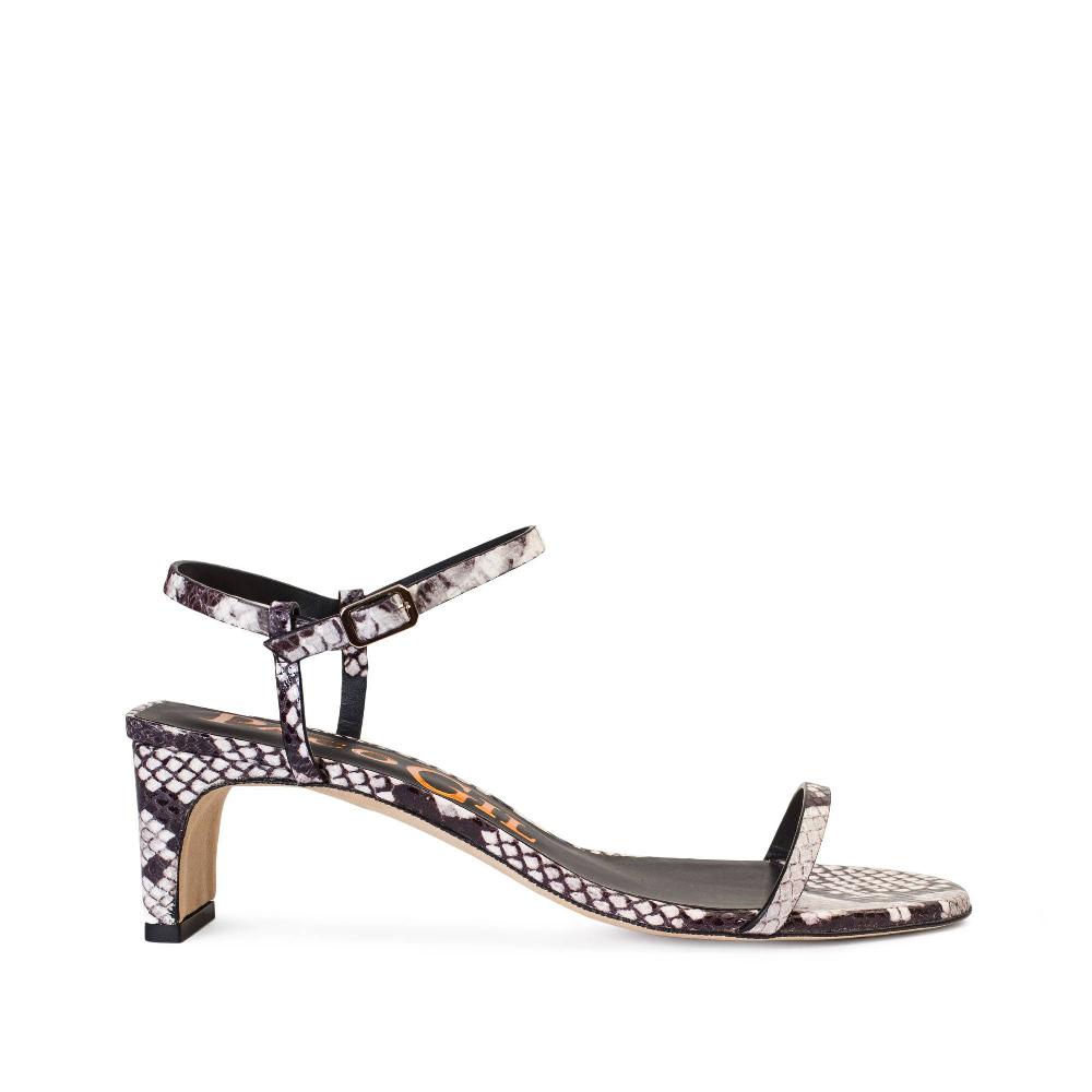 paco gil ALBA SALINAS NEW ASSO