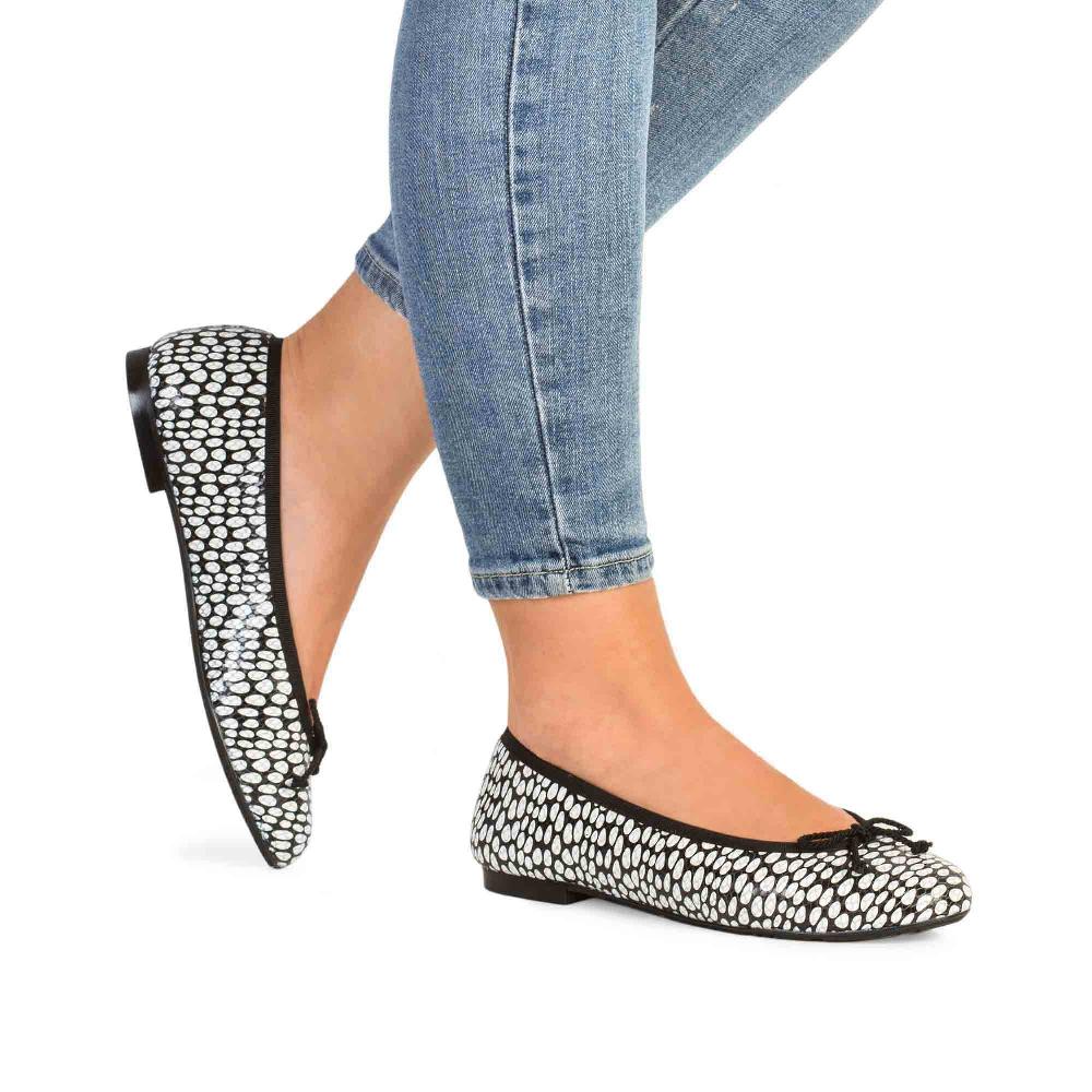 Paco Gil ANAHIS SNAKE DOTS