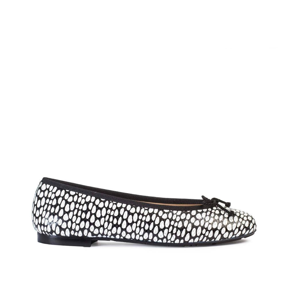 paco gil ANAHIS SNAKE DOTS