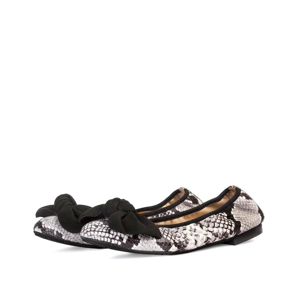 Paco Gil MARINA SALINAS NEW ASSO