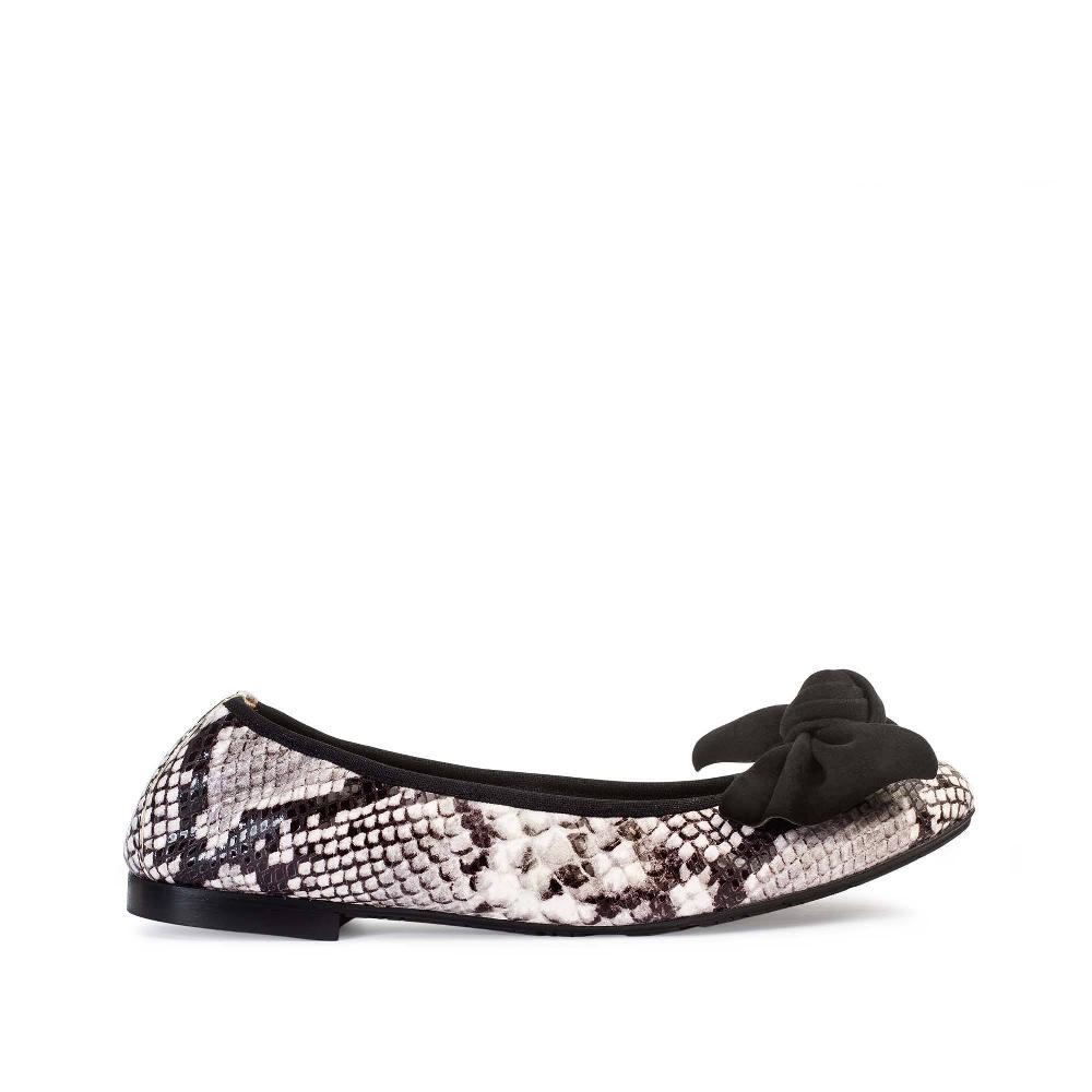 paco gil MARINA SALINAS NEW ASSO