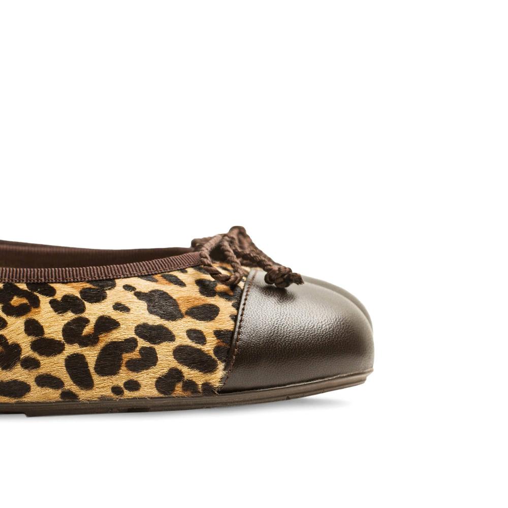 Paco Gil ROSALÍA LEO PONY