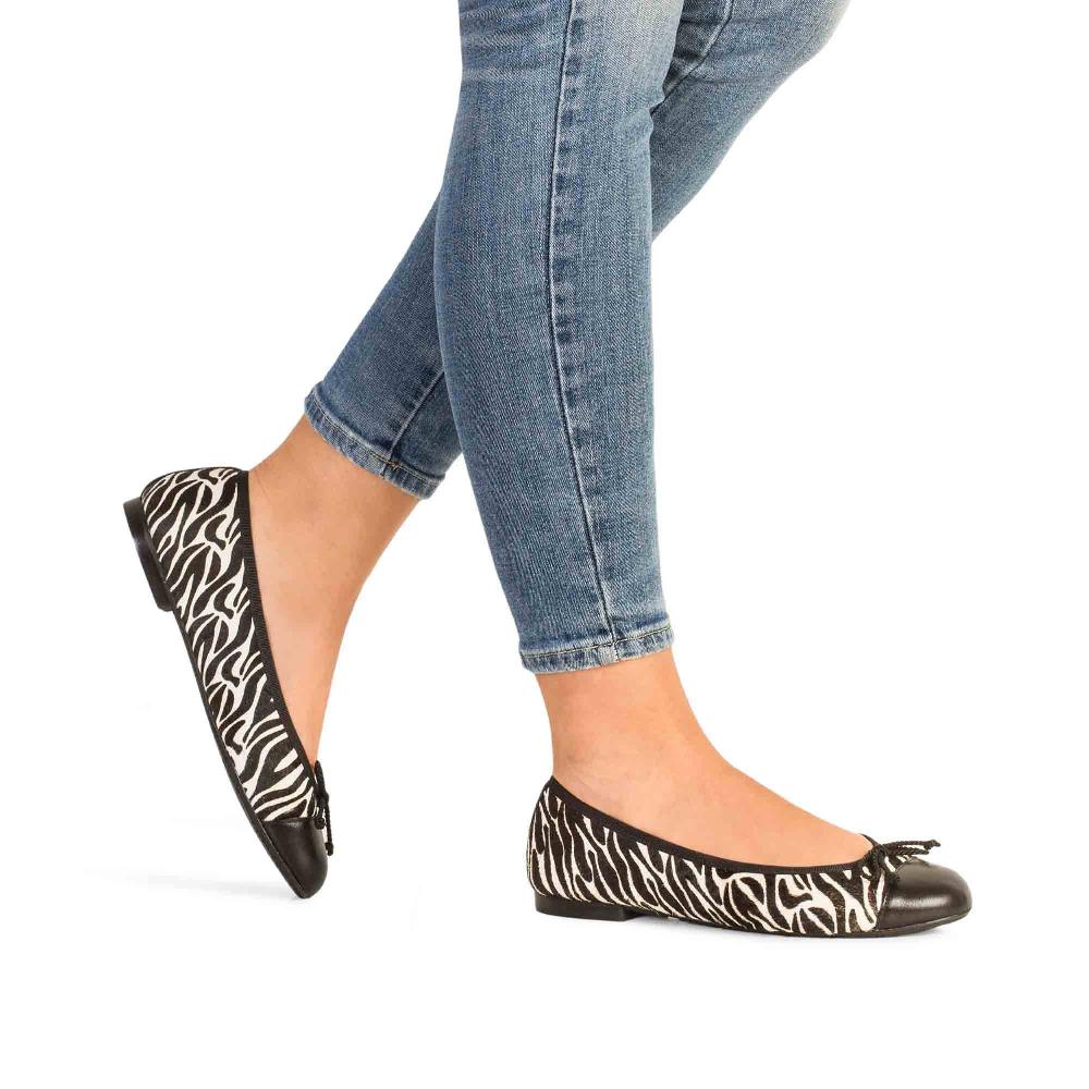 Paco Gil ROSALÍA ZEBRA