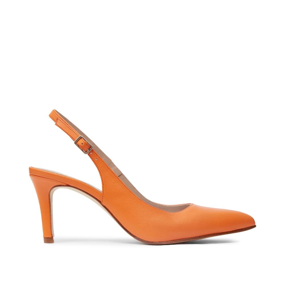 paco gil SUSAN SATSUMA NAPA