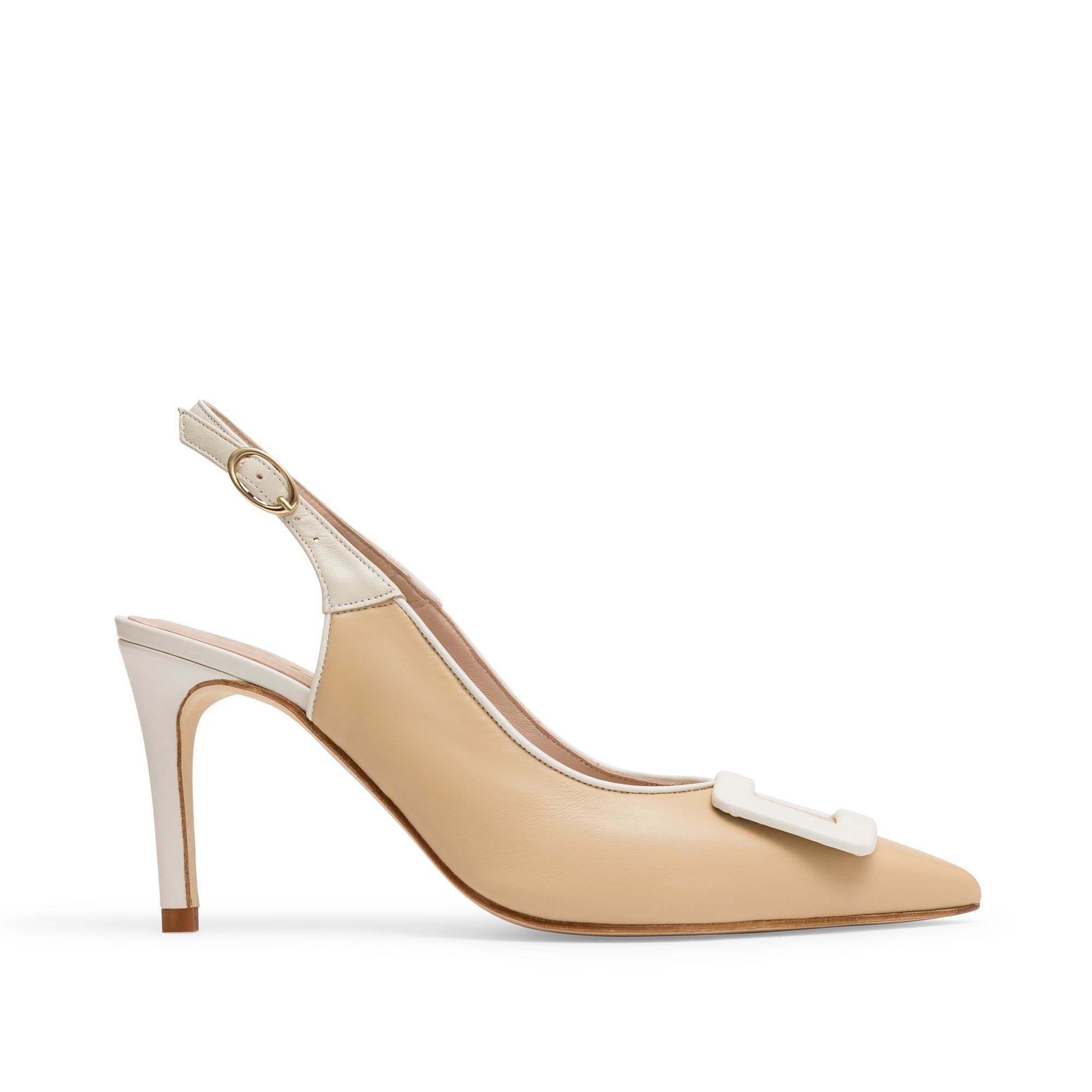 paco gil VIRGINIA MAMBINO