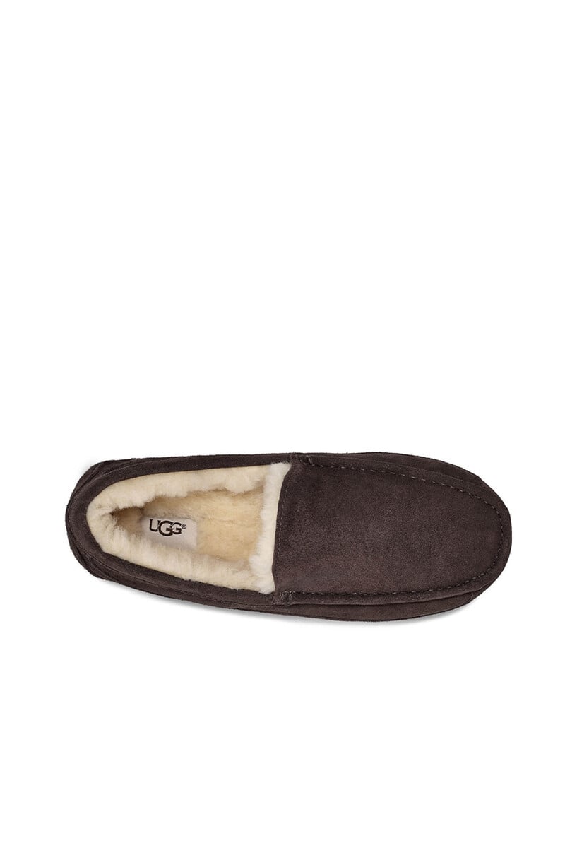 Pedro Del Hierro Slipper Cerrada Suede Ascot. Marca UGG