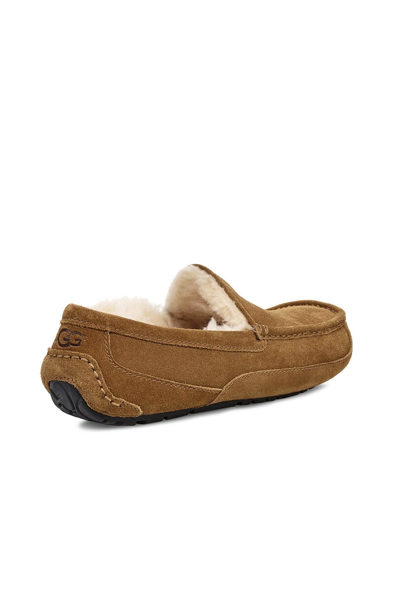 Pedro Del Hierro Slipper Cerrada Suede Ascot. Marca UGG