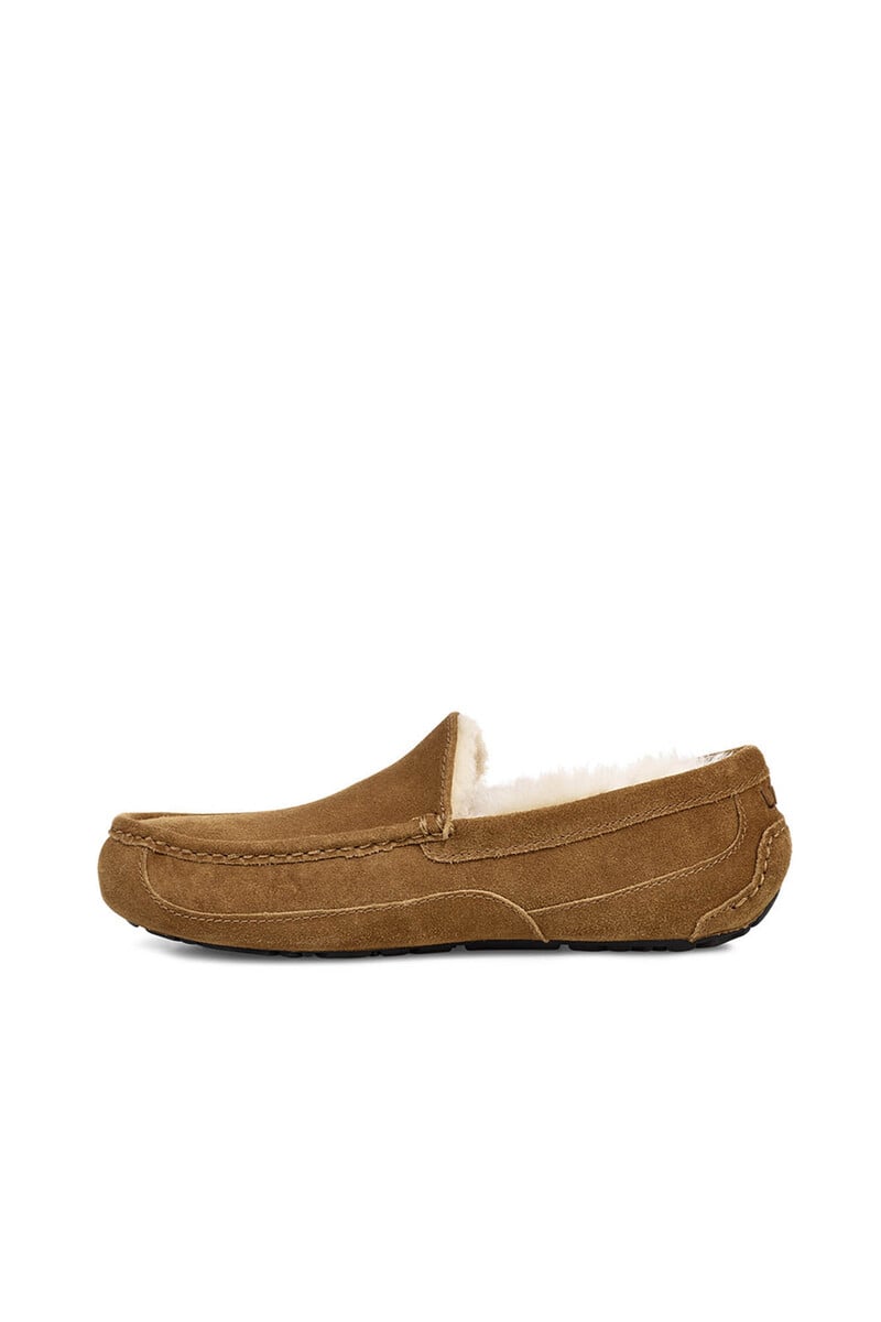 Pedro Del Hierro Slipper Cerrada Suede Ascot. Marca UGG