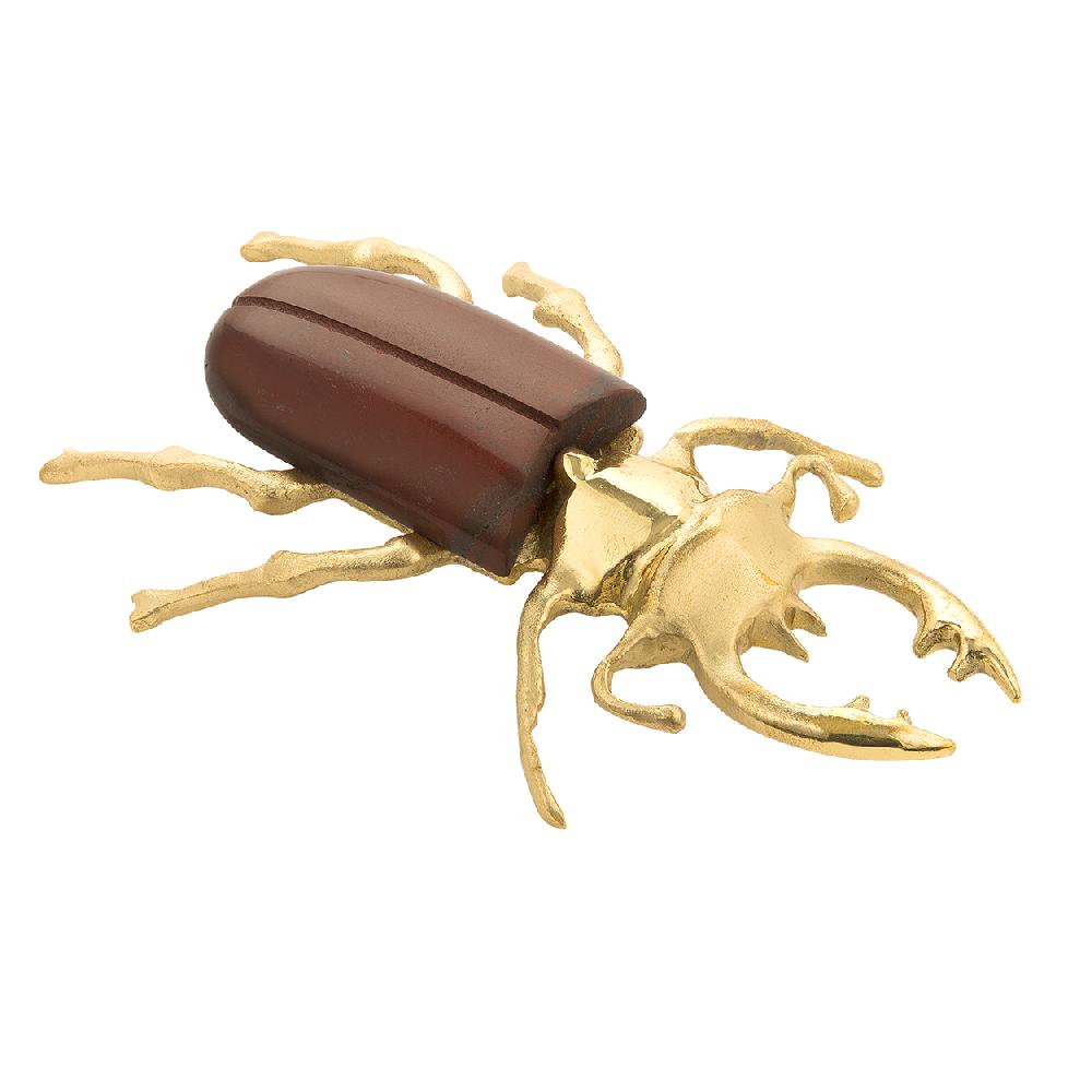 pedro duran Adorno Animals escarabajo ciervo de Pedro Durán