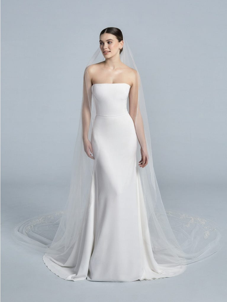 Pronovias V-2104