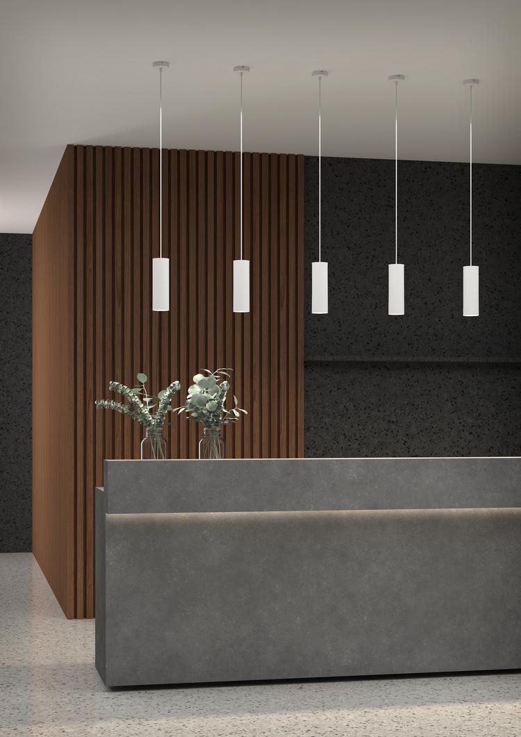 Pujol Iluminación C-53 LEDColgante LED