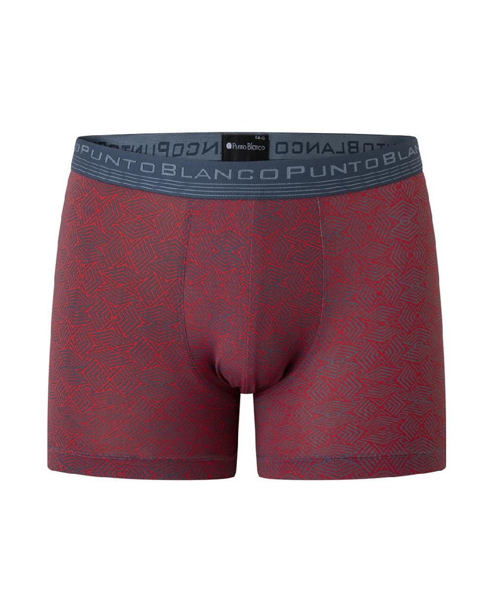 Punto Blanco Bóxer De Microfibra Graphite