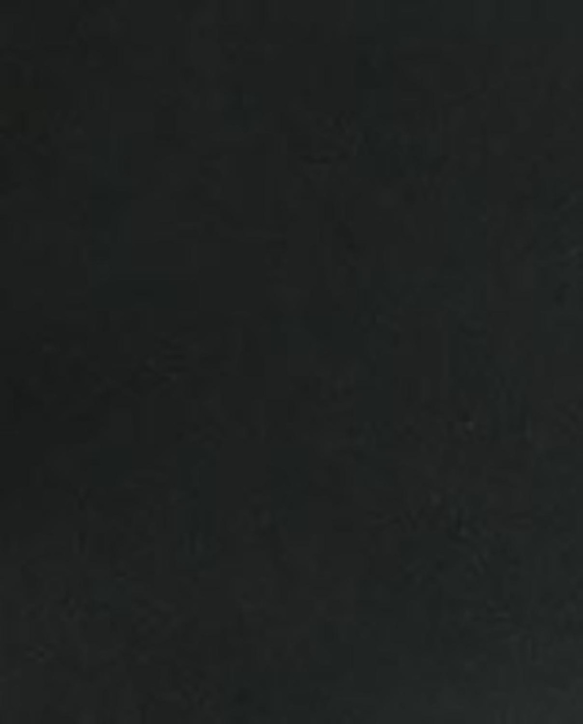 Punto Blanco Leotardos De Entretiempo Lisos