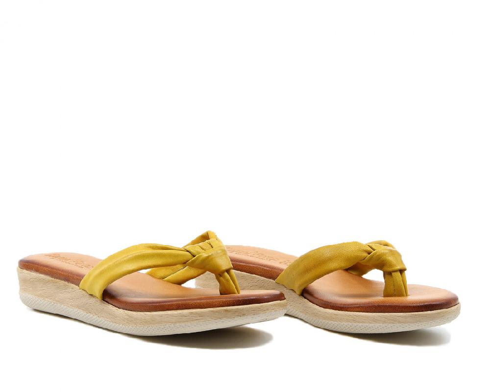 Raquel Perez AGAPORNIS