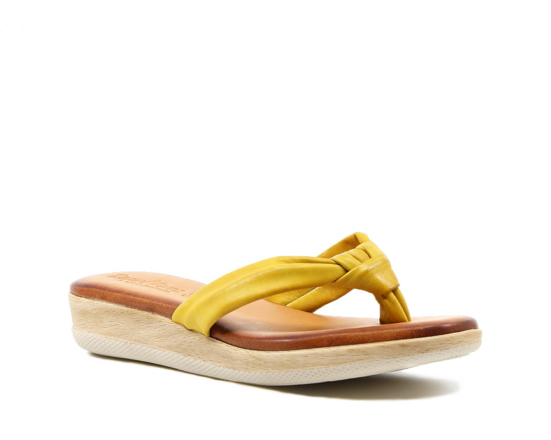 Raquel Perez AGAPORNIS