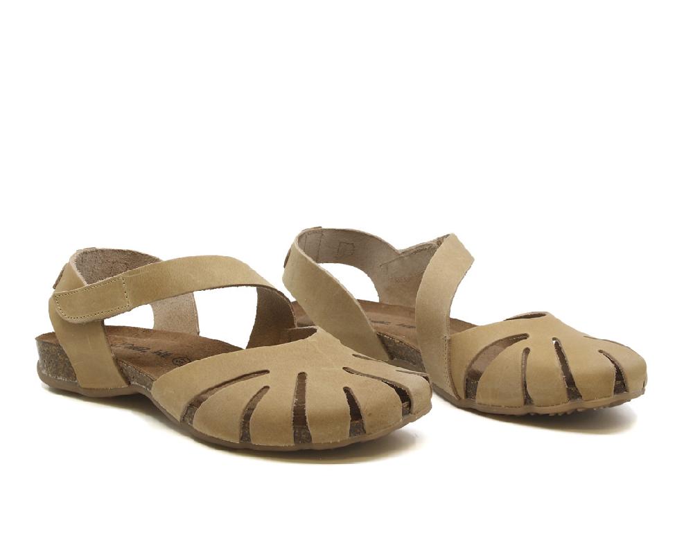 Raquel Perez LIBELULA