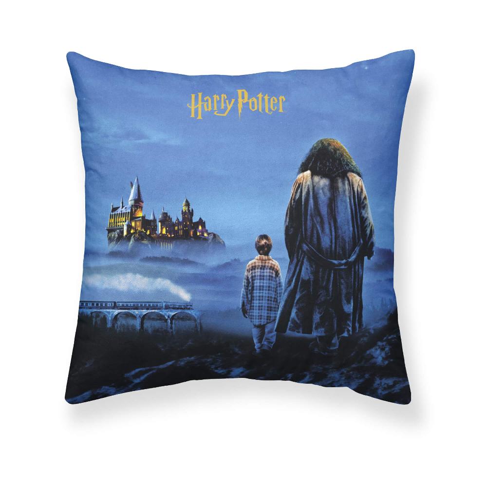ripshop Funda de cojín Philosopher's Stone A 50X50 cm Harry Potter – Ripshop
