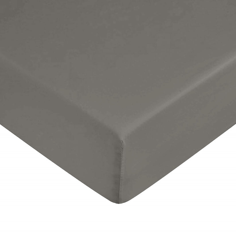 Ripshop Bajera Antrathite 100% Algodón – Ripshop