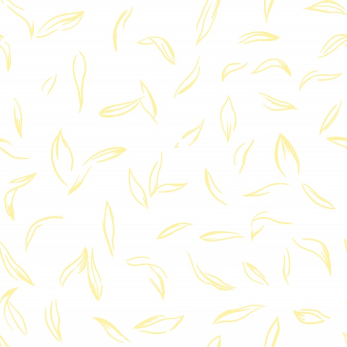 Ripshop Bajera Maastricht 100% Algodón – Ripshop