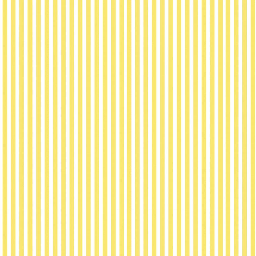 Ripshop Bajera Said 100% Algodón – Ripshop