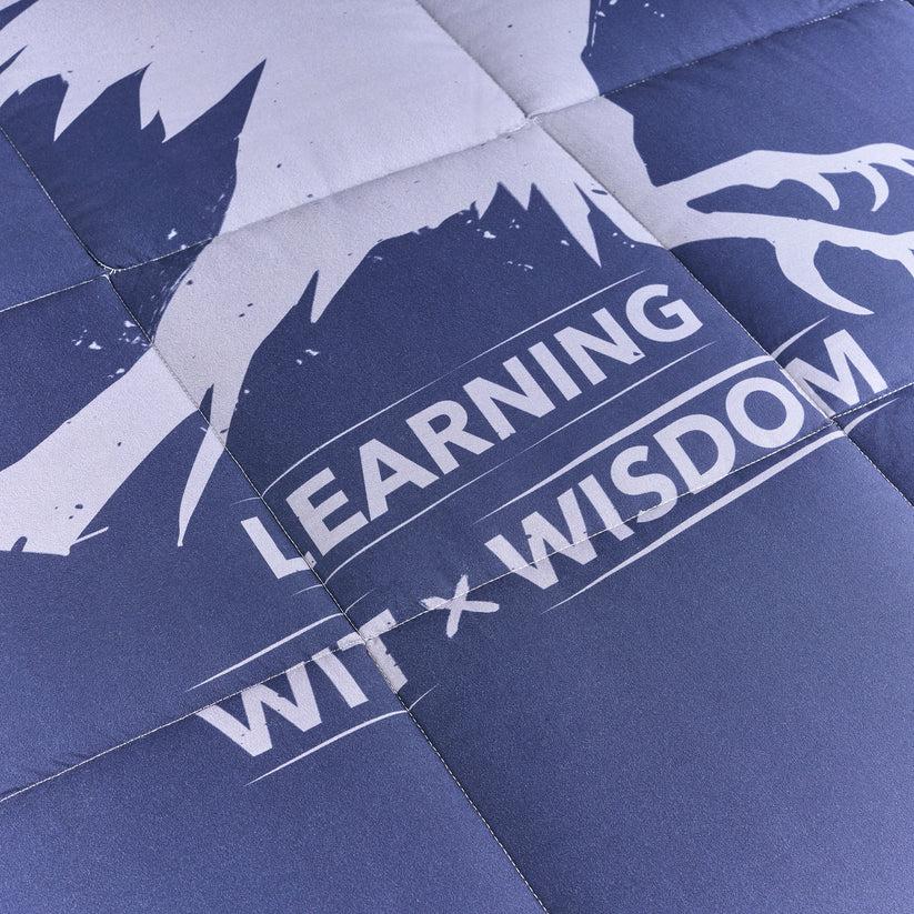 Ripshop Edredón 250 Gr Ravenclaw Values – Ripshop