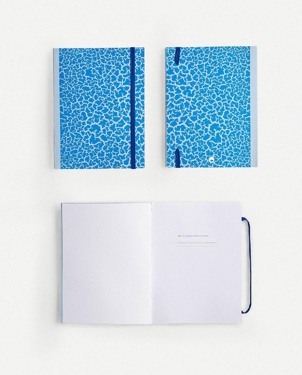 Sancal Notes					 					Rift