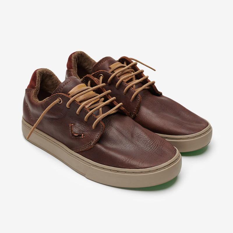 Satorisan Kaizen + Premium