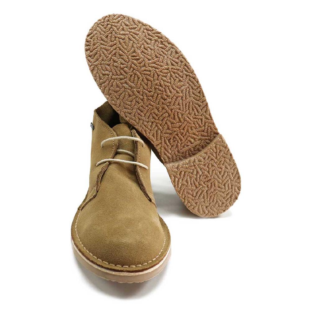 Segarra 1201 Safari Arena