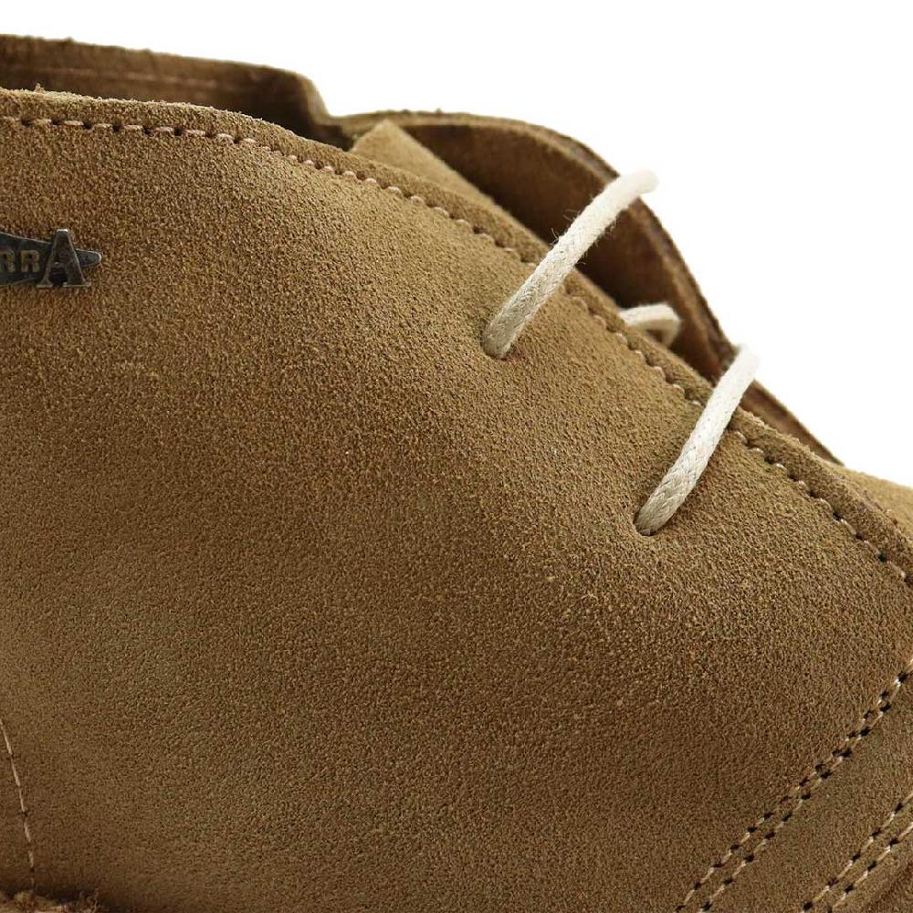 Segarra 1201 Safari Arena