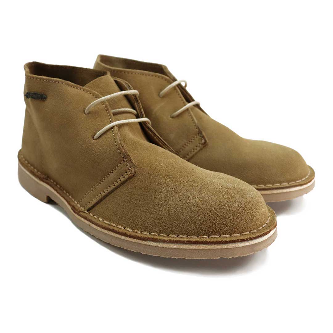 segarra 1201 Safari Arena