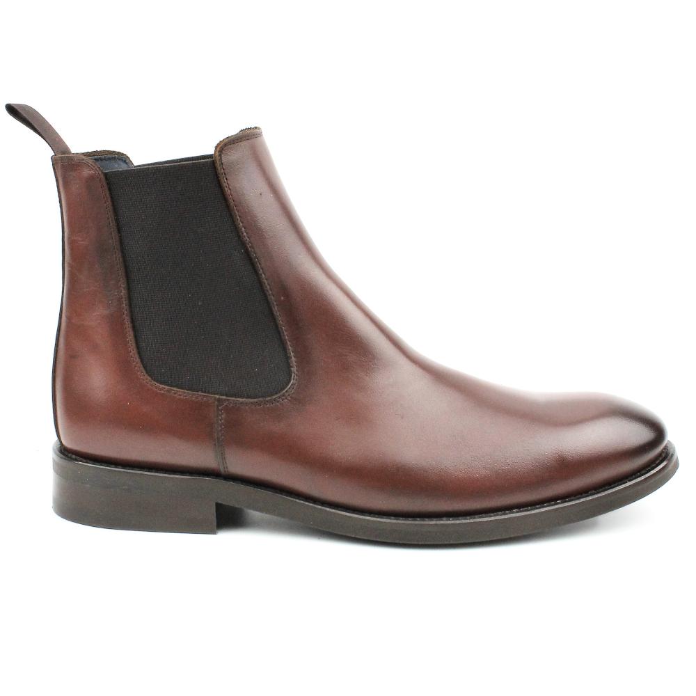 Segarra Apolo C Brandy