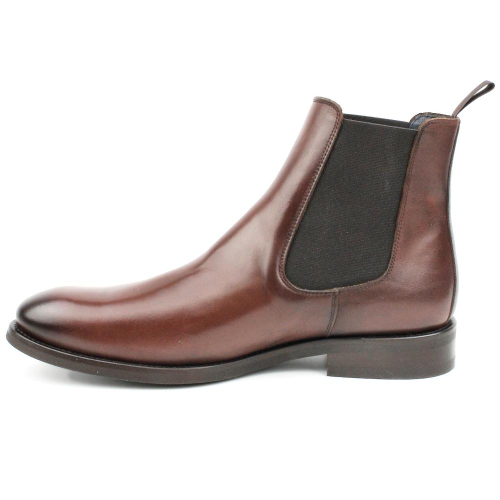 Segarra Apolo C Brandy