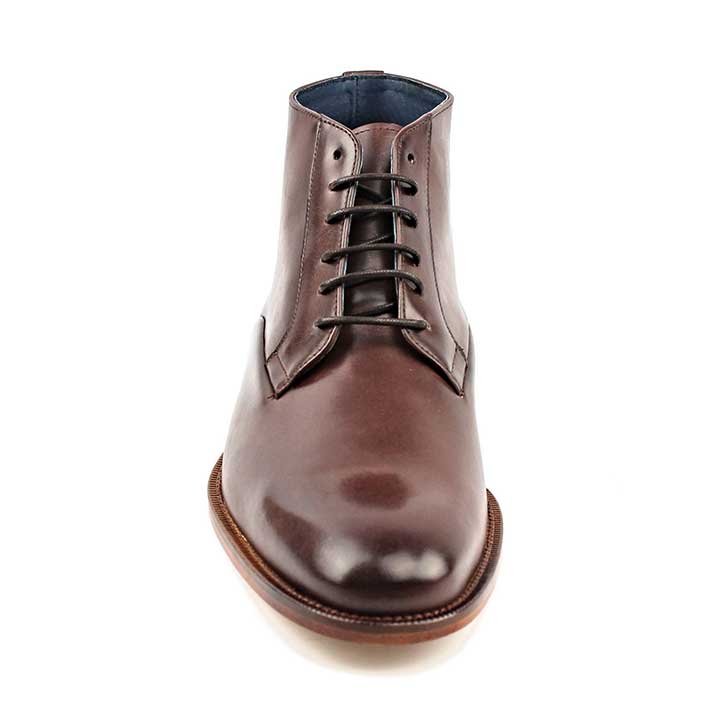 Segarra Bayle Brandy