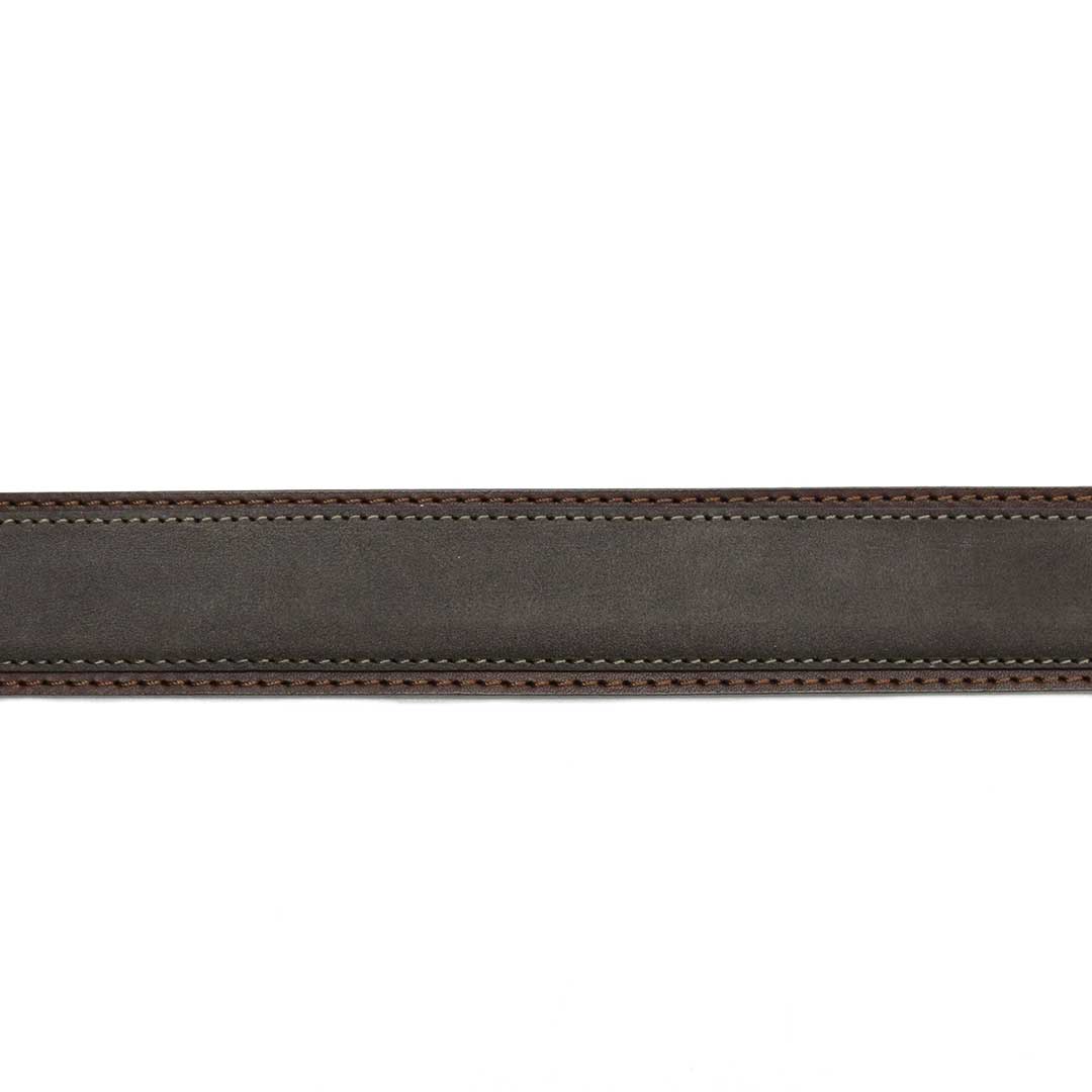 Segarra Berilo Testa