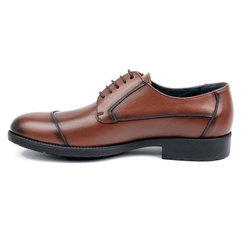 Segarra Halley Brandy