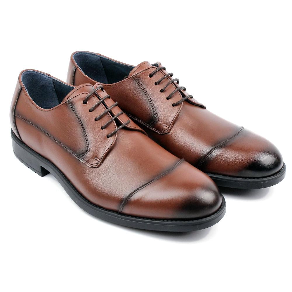 segarra Halley brandy