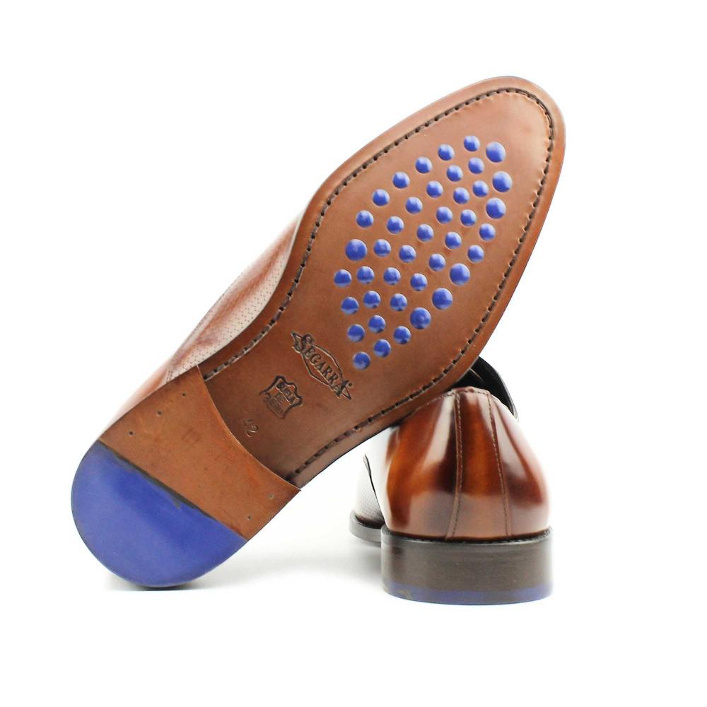 Segarra Lazzaro Cuero