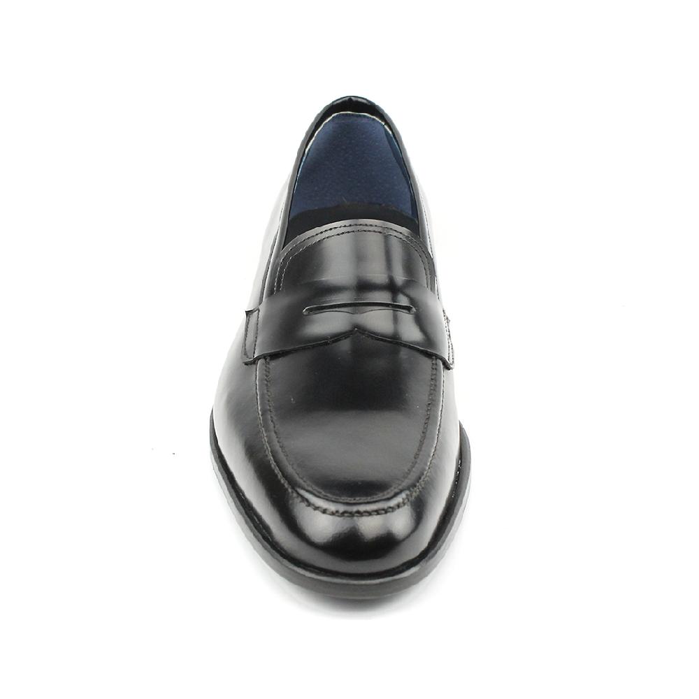 segarra Pontia Negro