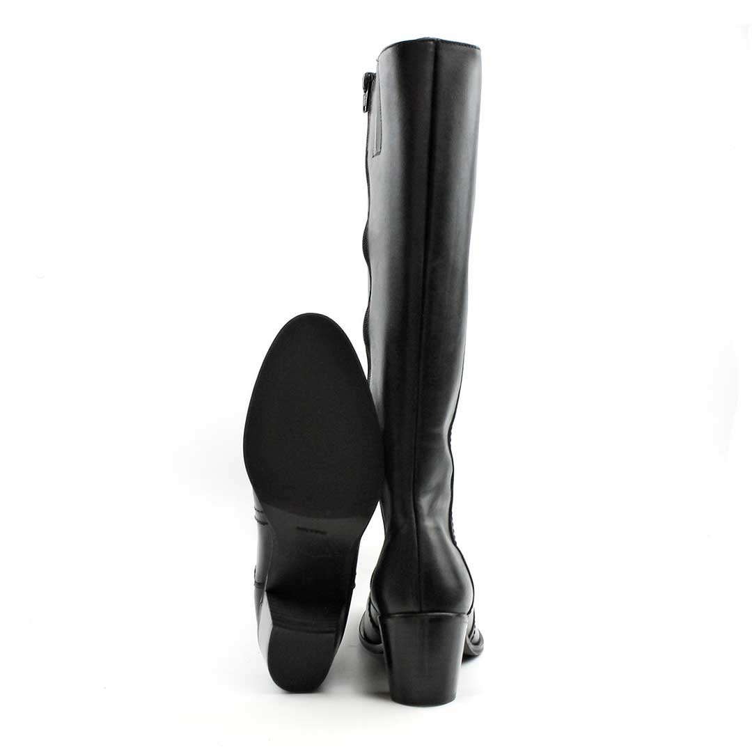 Segarra Regina Negro