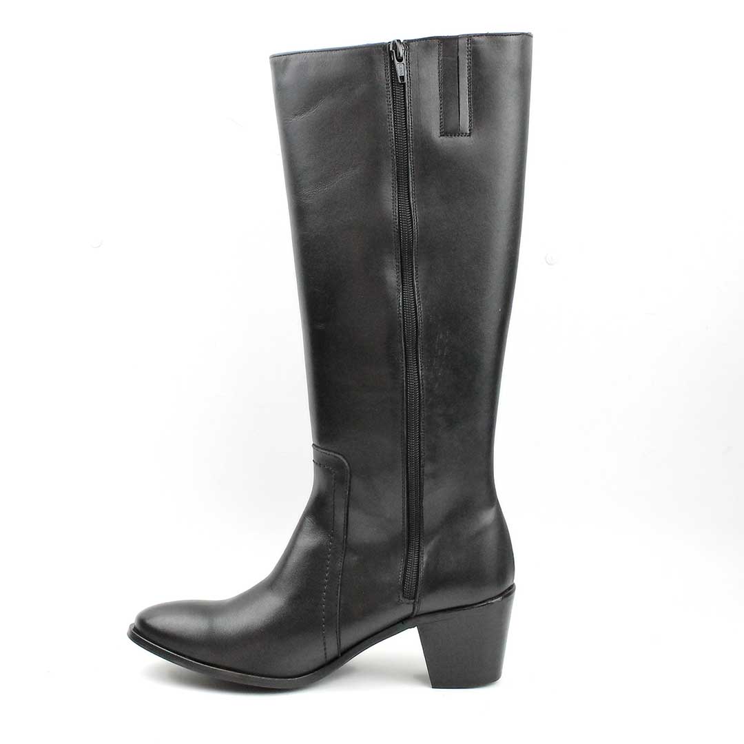 segarra Regina Negro