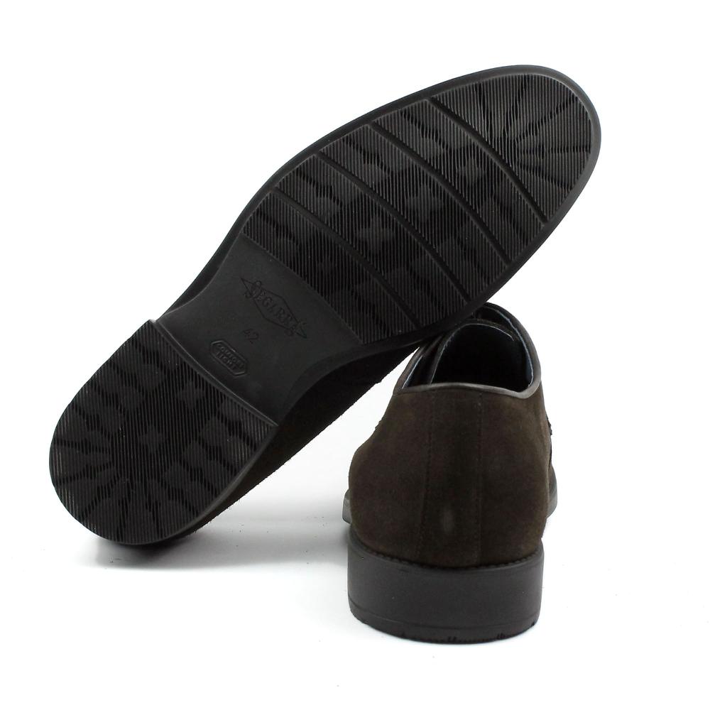 Segarra Taylor Chocolate