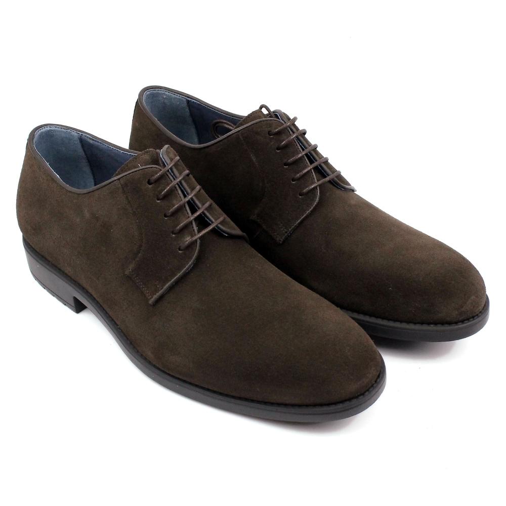 segarra Taylor chocolate