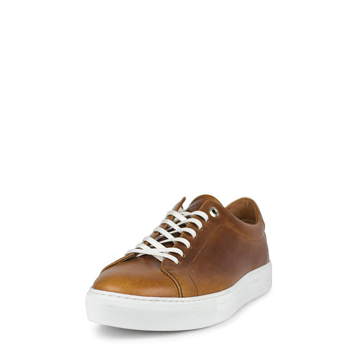 Sendra 16526 ANDRES-C EVOLUTION TANG