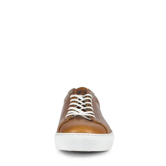 Sendra 16526 ANDRES-C EVOLUTION TANG