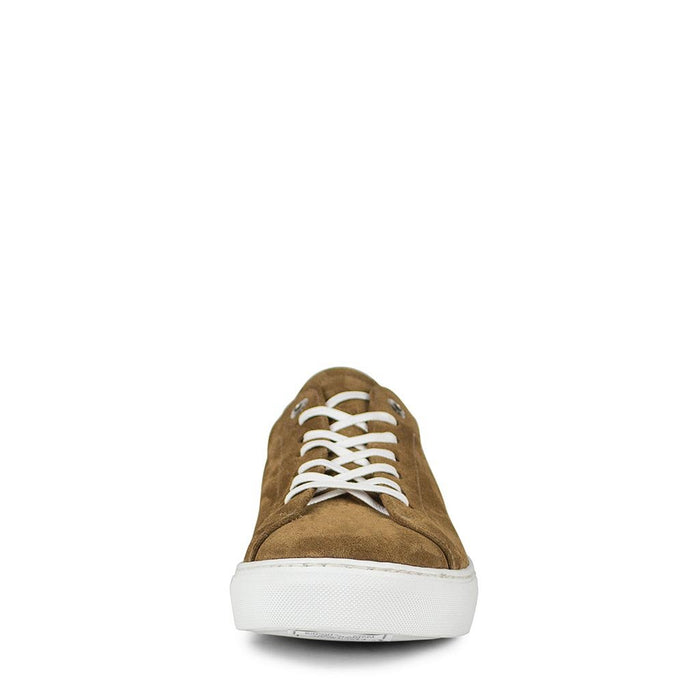 Sendra 16526 ANDRES-C SERR.KALEIDO 158 BIS