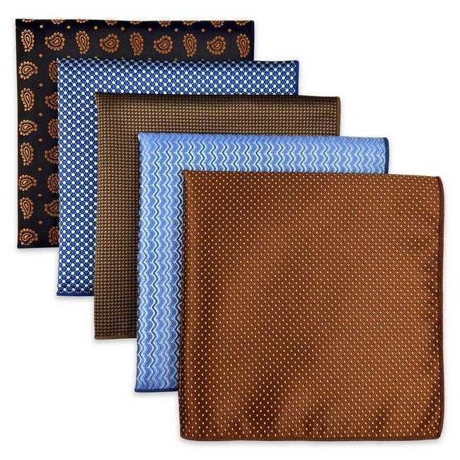 shlax & wing 5 Pieces Assorted Mens Pocket Square Fashion Gift Classic Handkerchiefs Set 2-91