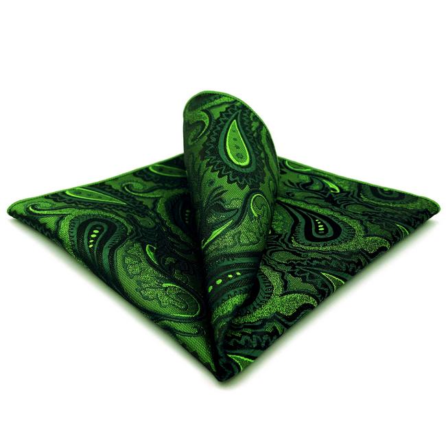 Shlax & Wing 5 Pieces Assorted Mens Pocket Square Fashion Gift Classic Handkerchiefs Set 3-19