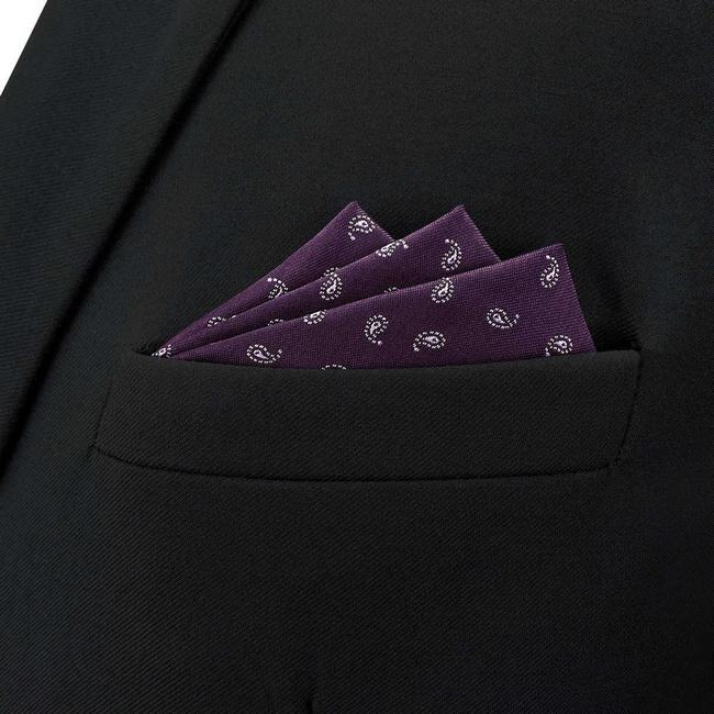 Shlax & Wing BH36 Purple Plum Paisley Mens Pocket Square Classic Fashion Business Groom