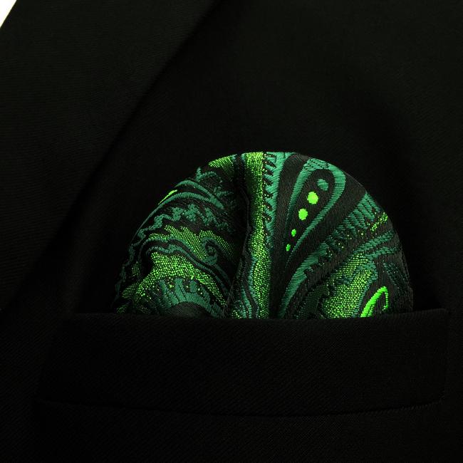 Shlax & Wing UH30 Paisley Dark Green Black Pocket Square Mens Neckties Jacquard Woven