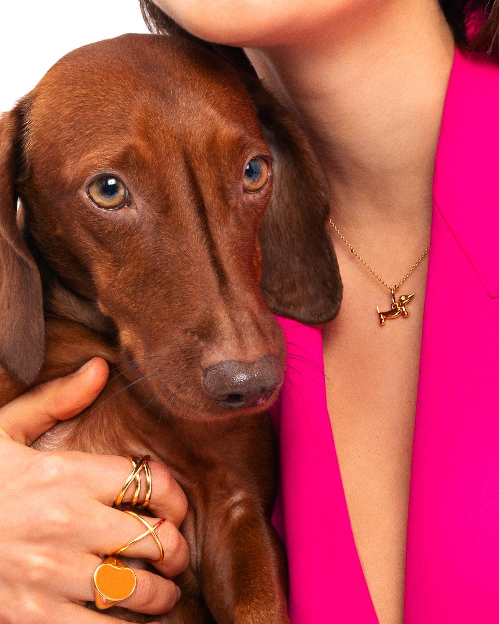 Singularu Charm Perro Teckel Enamel Black Baño Oro